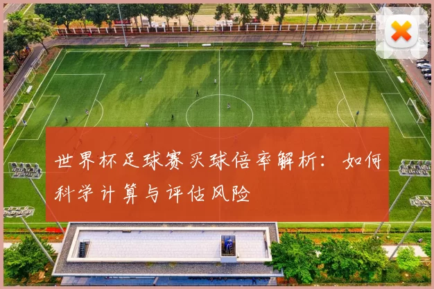 世界杯足球赛买球倍率解析：如何科学计算与评估风险