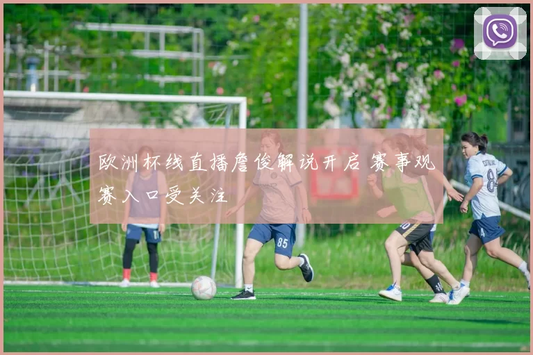 欧洲杯线直播詹俊解说开启 赛事观赛入口受关注