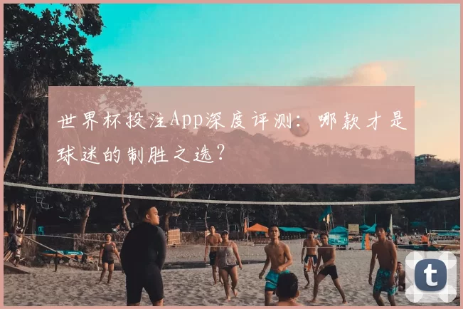 世界杯投注App深度评测：哪款才是球迷的制胜之选？