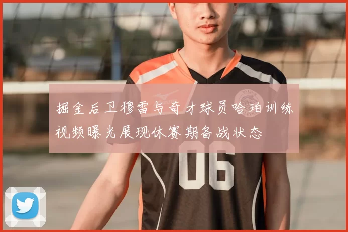 掘金后卫穆雷与奇才球员哈珀训练视频曝光展现休赛期备战状态