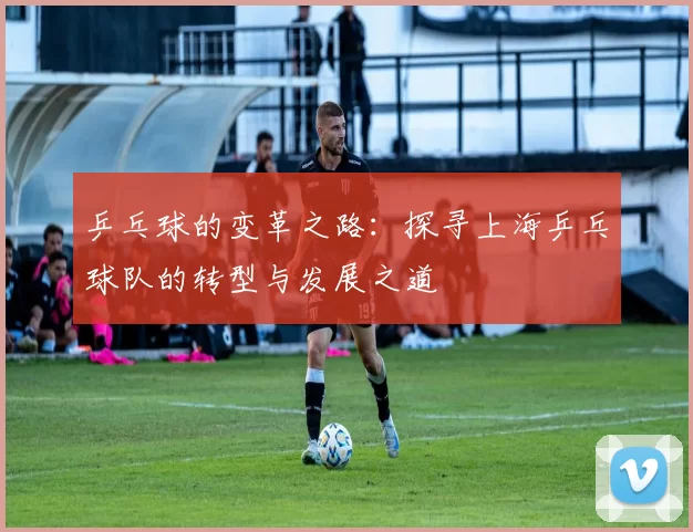 乒乓球的变革之路：探寻上海乒乓球队的转型与发展之道