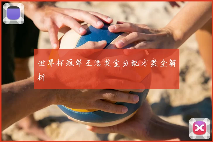 世界杯冠军王浩奖金分配方案全解析