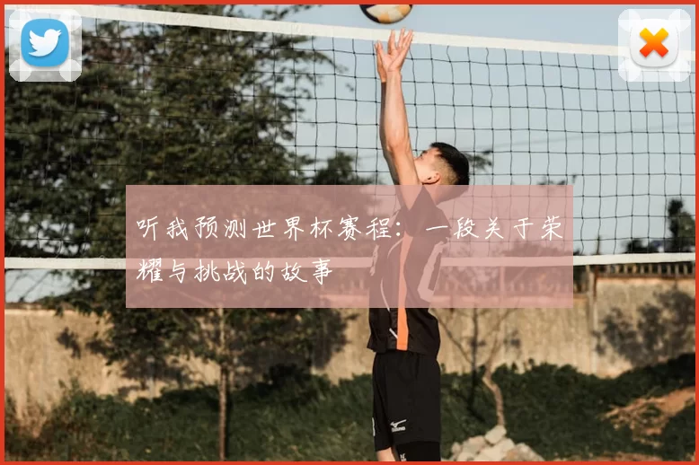 听我预测世界杯赛程：一段关于荣耀与挑战的故事