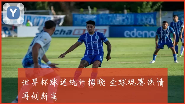 世界杯球迷统计揭晓 全球观赛热情再创新高