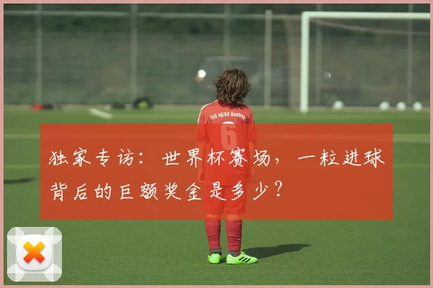 独家专访:世界杯赛场,一粒进球背后的巨额奖金是多少?