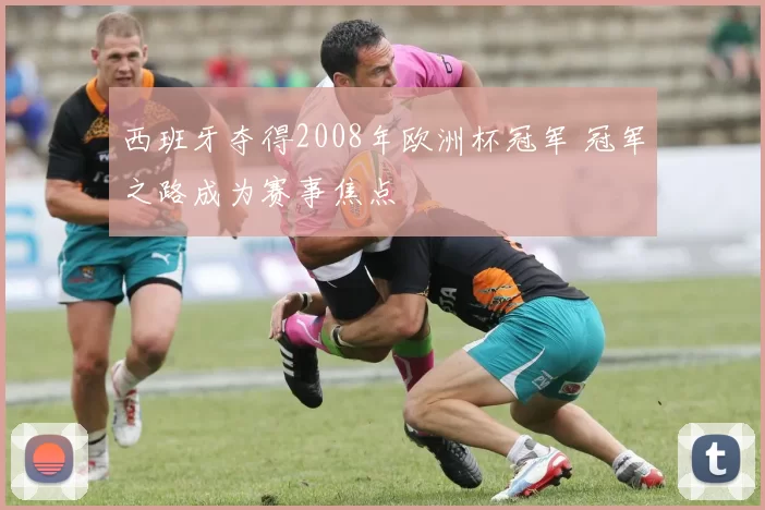 西班牙夺得2008年欧洲杯冠军 冠军之路成为赛事焦点