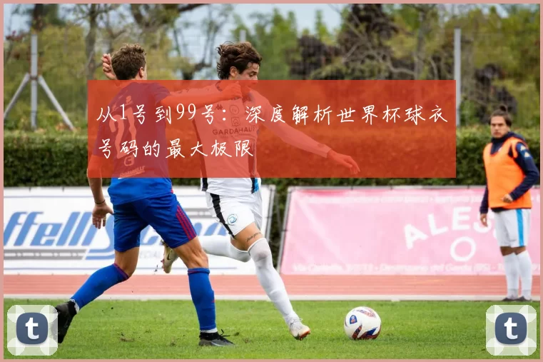 从1号到99号：深度解析世界杯球衣号码的最大极限