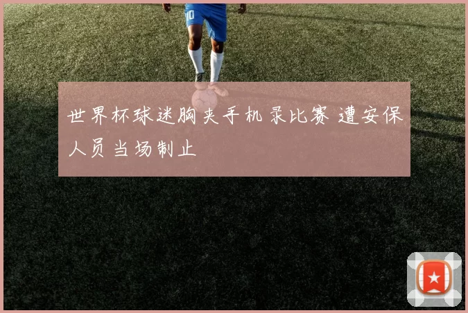 世界杯球迷胸夹手机录比赛 遭安保人员当场制止