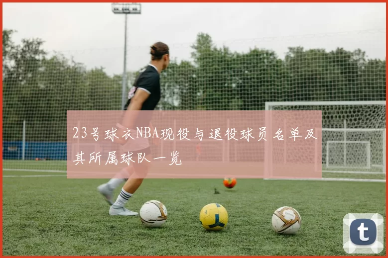 23号球衣NBA现役与退役球员名单及其所属球队一览