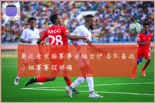 奥运会女排赛事分组出炉 各队备战小组赛赛程明确