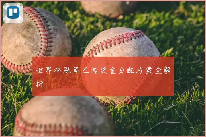 世界杯冠军王浩奖金分配方案全解析