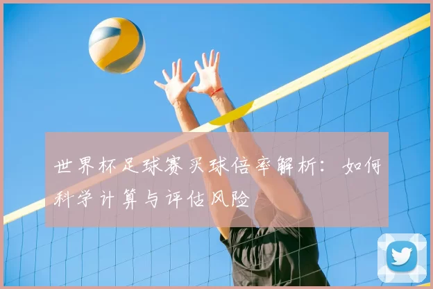 世界杯足球赛买球倍率解析:如何科学计算与评估风险