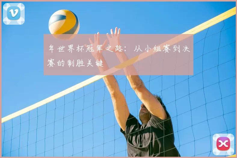 年世界杯冠军之路：从小组赛到决赛的制胜关键