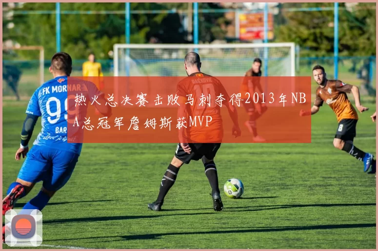 热火总决赛击败马刺夺得2013年NBA总冠军詹姆斯获MVP