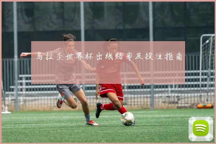 乌拉圭世界杯出线赔率及投注指南